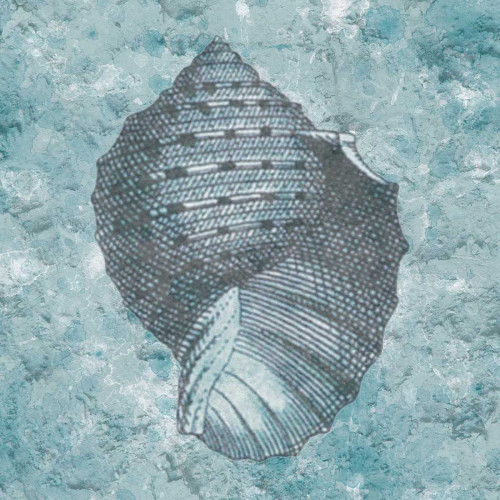 Coastal Cement 1 Poster Print by Sheldon Lewis - Item # VARPDXSLBSQ371B