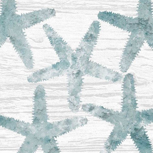 Coastal Star Cemented 2 Poster Print by Sheldon Lewis - Item # VARPDXSLBSQ372B