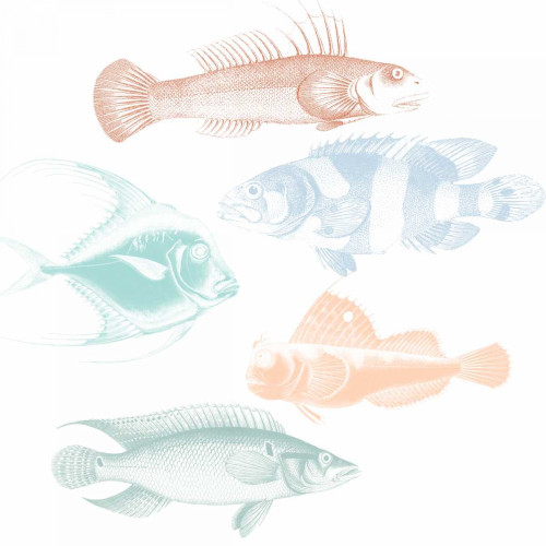 Deep Sea Adventure 1 Poster Print by Sheldon Lewis - Item # VARPDXSLBSQ402A