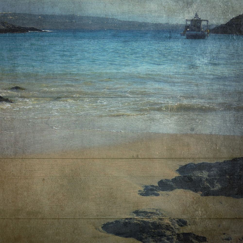 Drift Wood 2 Poster Print by Sheldon Lewis - Item # VARPDXSLBSQ473B