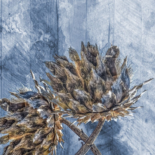 Coolnest Of Nature Poster Print by Sheldon Lewis - Item # VARPDXSLBSQ497A