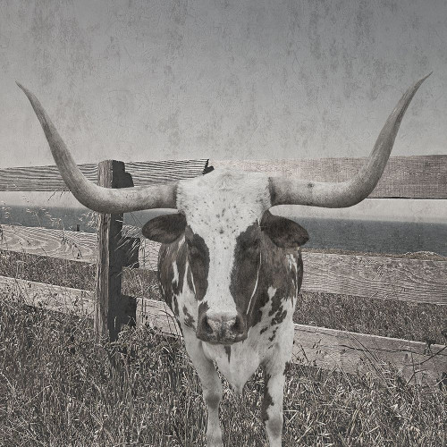 Barn Life Poster Print by Sheldon Lewis - Item # VARPDXSLBSQ578A