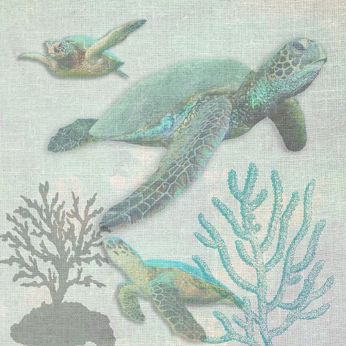 Turtles Poster Print by Sheldon Lewis