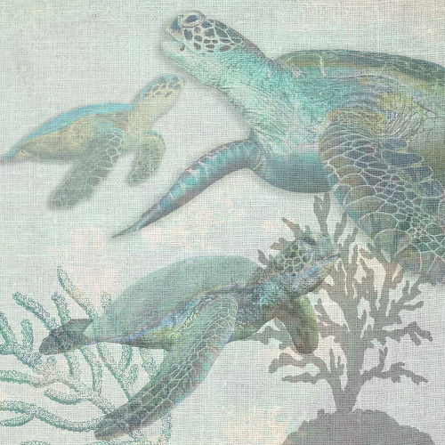 Turtles Poster Print by Sheldon Lewis