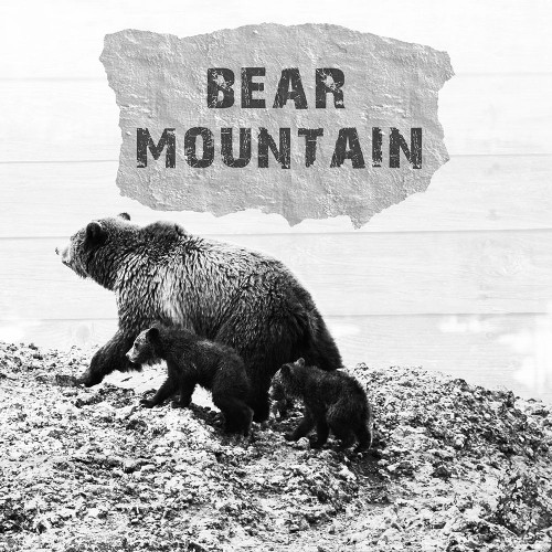 Bear Mountain Poster Print by Sheldon Lewis - Item # VARPDXSLBSQ681A