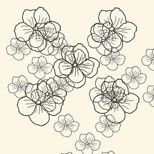 Black Petals Poster Print by Sheldon Lewis - Item # VARPDXSLBSQ696B