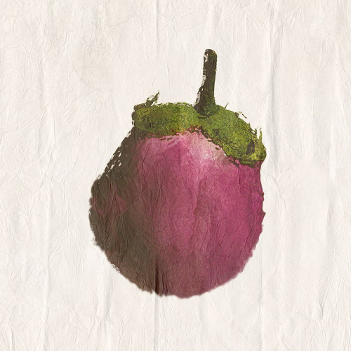 Eggplant Poster Print by Sheldon Lewis - Item # VARPDXSLBSQ707A