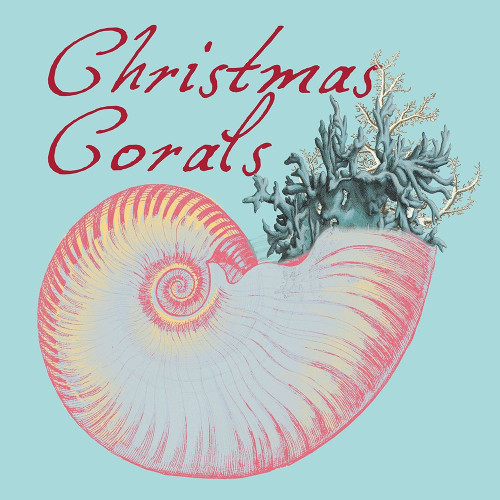 Christmas Corals Poster Print by Sheldon Lewis - Item # VARPDXSLBSQ718A