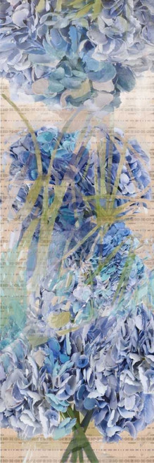 Hydragea 1 Poster Print by Sarah Butcher - Item # VARPDXSRPL025A