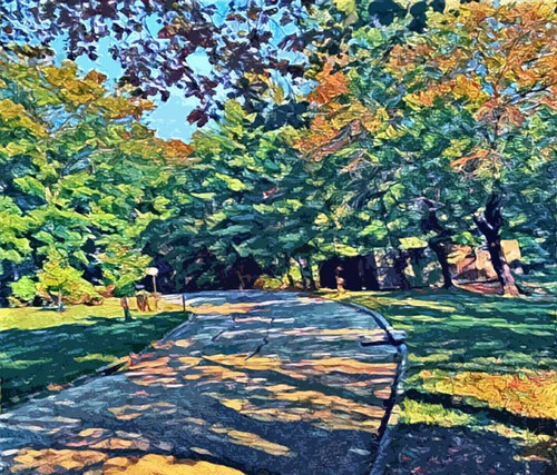 Shady View Poster Print by Sarah Butcher - Item # VARPDXSRRC008B