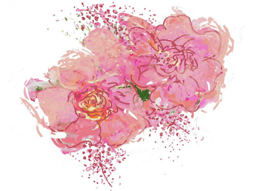 Pink Peonies Poster Print by Sarah Butcher - Item # VARPDXSRRC049A