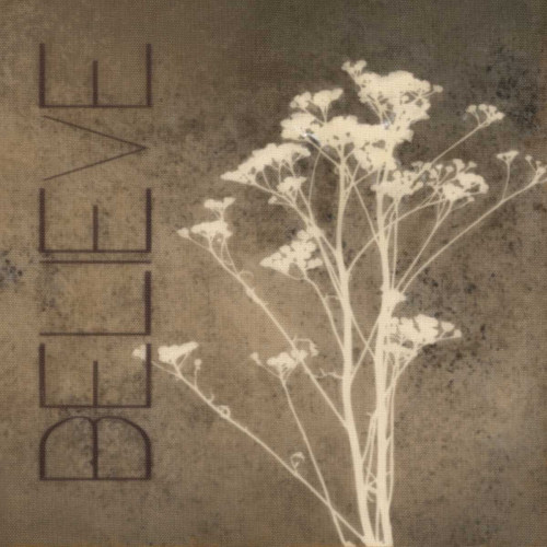 Believe Silhouette Poster Print by Taylor Greene - Item # VARPDXTG5SQ001A1