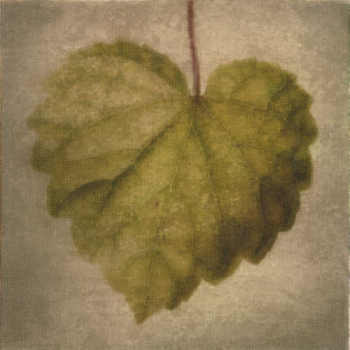 Leaf Silhouette Poster Print by Taylor Greene - Item # VARPDXTG5SQ001A5