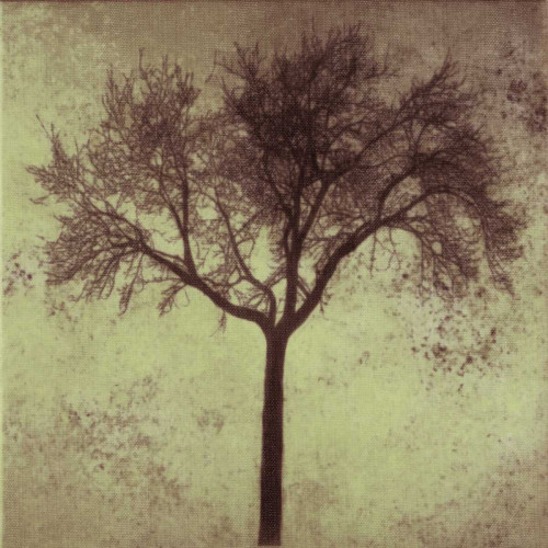 A Tree Silhouette Poster Print by Taylor Greene - Item # VARPDXTG5SQ001A8