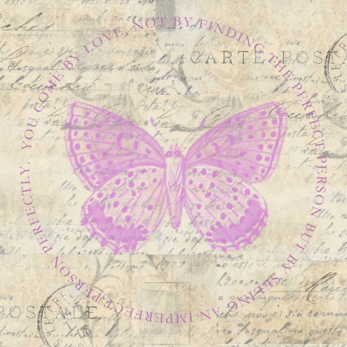Love Butterfly Paper Poster Print by Taylor Greene
