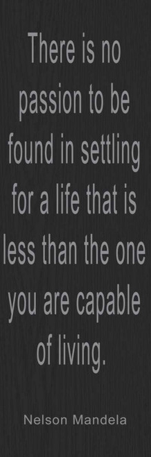 THERE IS NO PASSION Poster Print by Taylor Greene - Item # VARPDXTGPL051A