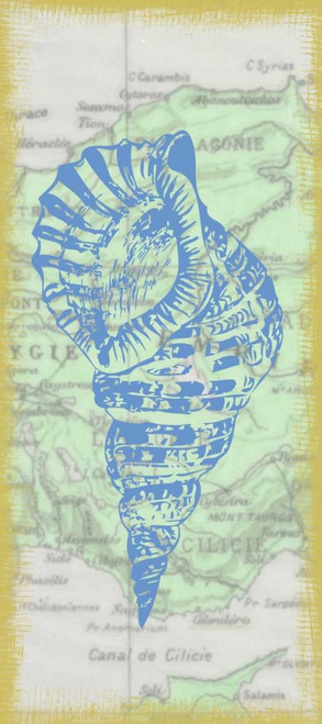 Shell Poster Print by Taylor Greene - Item # VARPDXTGPL094B