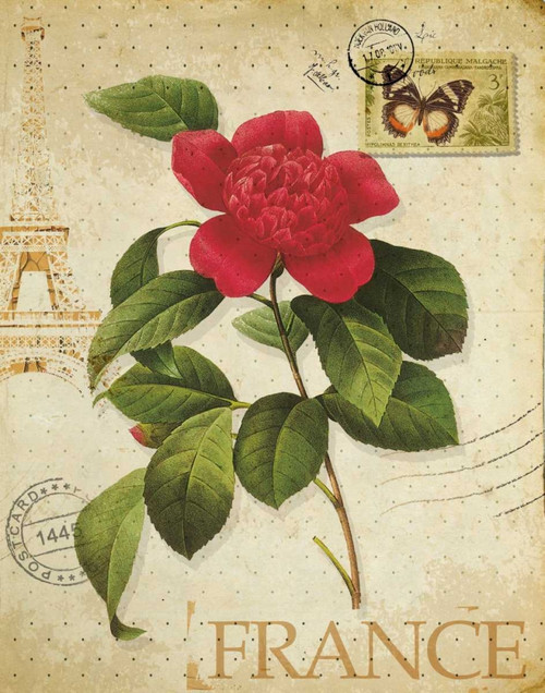 VINTAGE PARIS ROSE II Poster Print by Taylor Greene - Item # VARPDXTGRC021A1