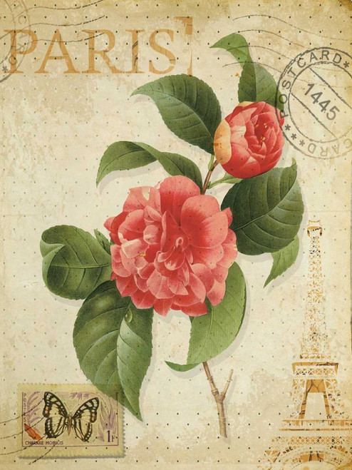 VINTAGE PARIS ROSE- OIL Poster Print by Taylor Greene - Item # VARPDXTGRC021B