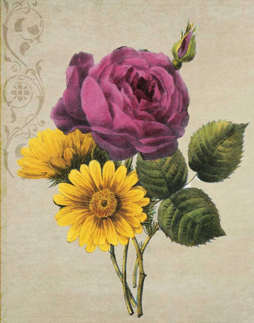 Pink And Yellow I Poster Print by Taylor Greene
