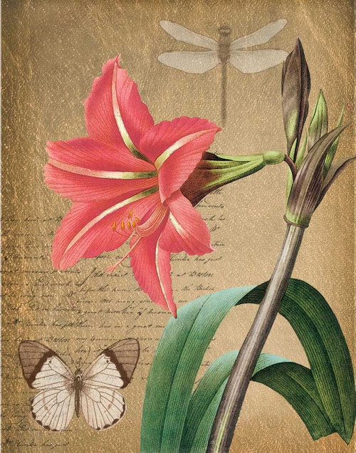 Iris On Gold Poster Print by Taylor Greene