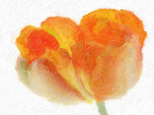 Tulip Tango Poster Print by Taylor Greene - Item # VARPDXTGRC063B