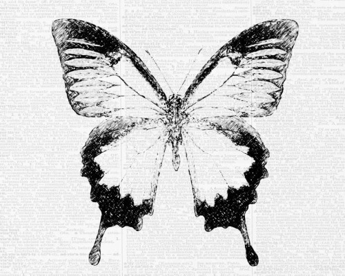 Butterfly 1 Poster Print by Taylor Greene - Item # VARPDXTGRC074A