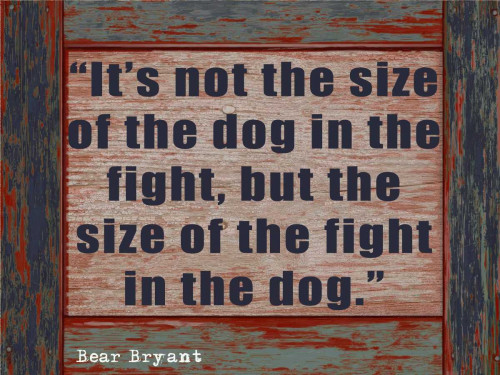 SIZE OF THE DOG rev1 Poster Print by Taylor Greene - Item # VARPDXTGRC085C