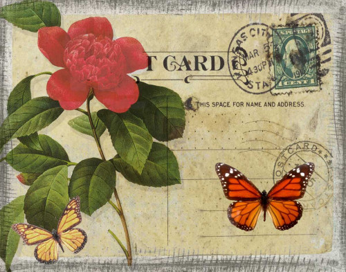 VINTAGE BUTTERFLY POSTCARD II Poster Print by Taylor Greene - Item # VARPDXTGRC137B