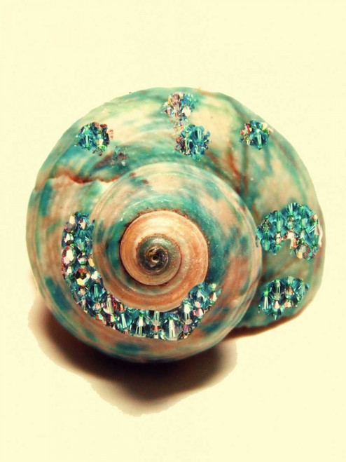 Jeweled Shell I Poster Print by Taylor Greene