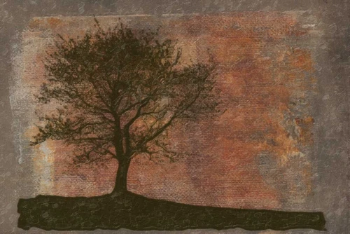 TREE HORIZON Poster Print by Taylor Greene