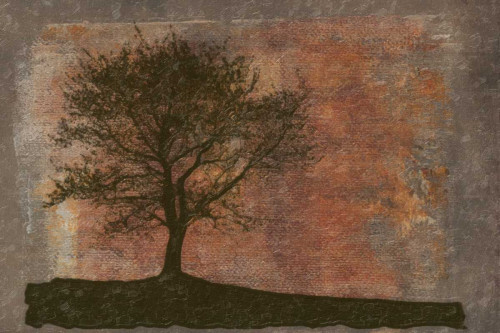 TREE HORIZON Poster Print by Taylor Greene - Item # VARPDXTGRC177A