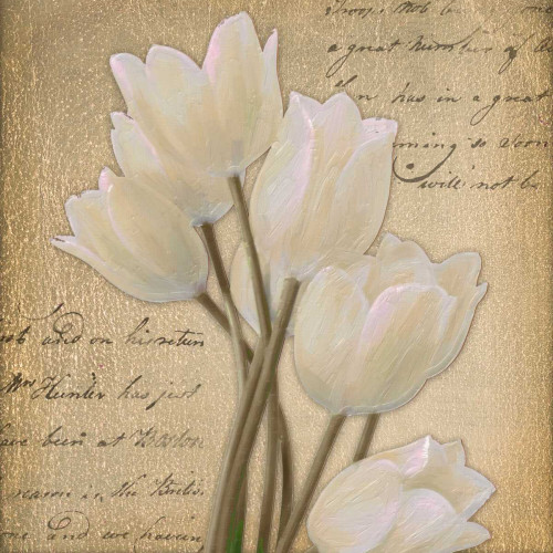 WHITE TULIP I  Poster Print by Taylor Greene - Item # VARPDXTGSQ060