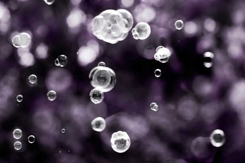 Bubbly Poster Print by Tracey Telik - Item # VARPDXTKRC119A