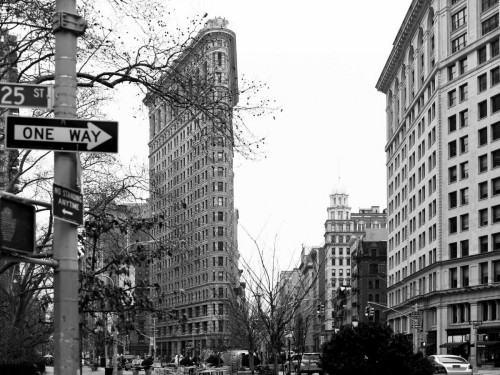 Flat Iron BW Poster Print by Tracey Telik - Item # VARPDXTKRC122A
