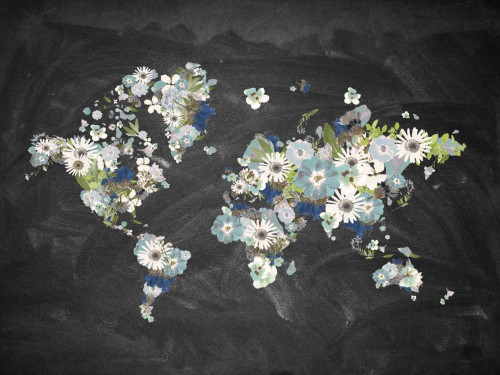 Blooming Map 2 Poster Print by Brown,Victoria Brown - Item # VARPDXVBRC071B