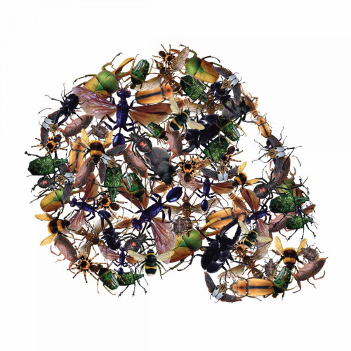 Skull 1.3.2 Poster Print by Victoria Brown - Item # VARPDXVBSQ085A