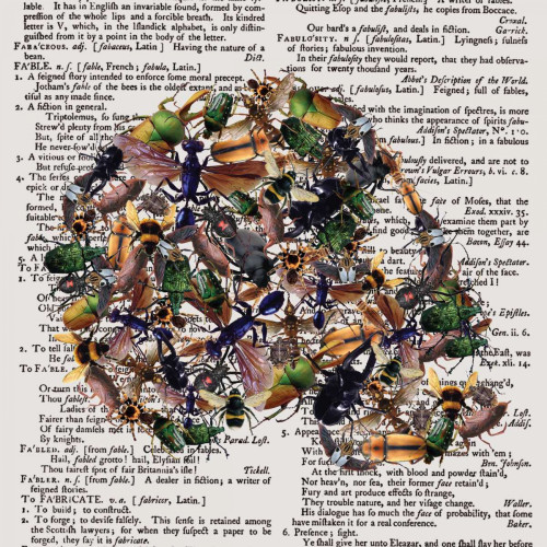 Skull 1.3 Poster Print by Victoria Brown - Item # VARPDXVBSQ086A