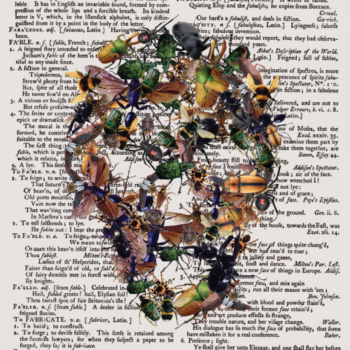 Skull 2.3.2 Poster Print by Victoria Brown - Item # VARPDXVBSQ086B