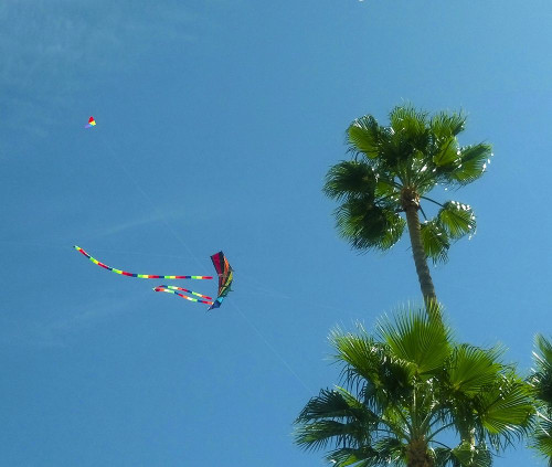 Kites I Poster Print by Popcorn Popcorn - Item # VARPDXWJTPHO00014