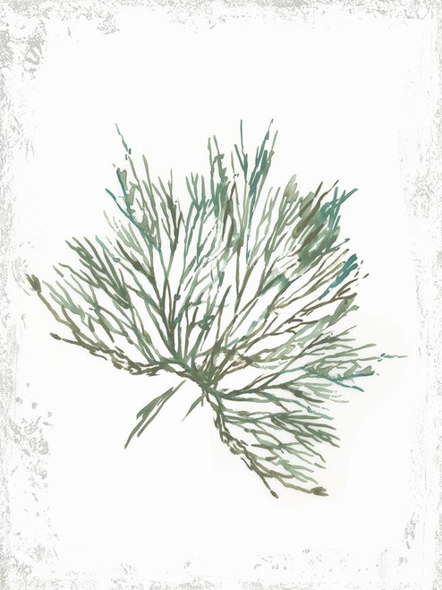 Emerald Coral III  Poster Print by Aimee Wilson - Item # VARPDXWL318A