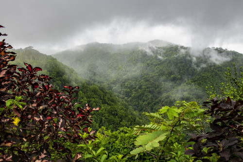 Puntarenas, Costa Rica Poster Print by Peter Hawkins - Item # VARPDDSA22PHA0020