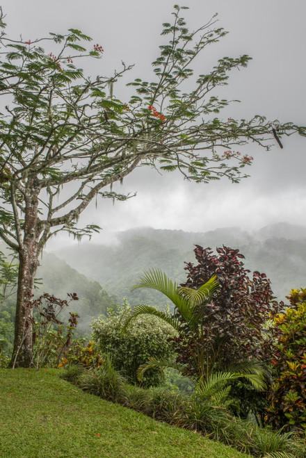 Puntarenas, Costa Rica Poster Print by Peter Hawkins - Item # VARPDDSA22PHA0021