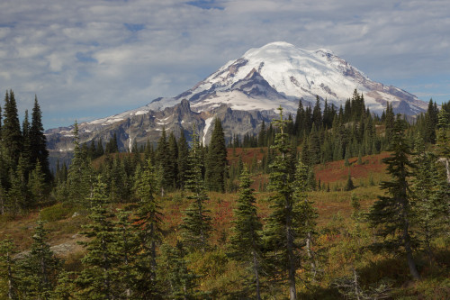 Autumn morning, Mount Rainier Poster Print by Ken Archer - Item # VARPDDUS48KAR0370