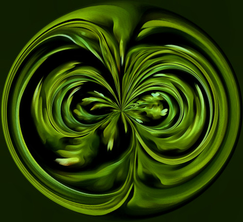 USA, Oregon. Fern abstract.  Poster Print by Jaynes Gallery - Item # VARPDDUS38BJY1182