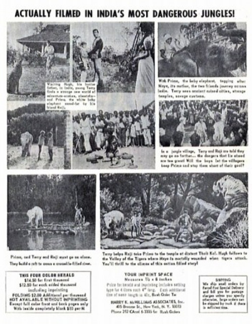 Maya Movie Poster (11 x 17) - Item # MOV235536