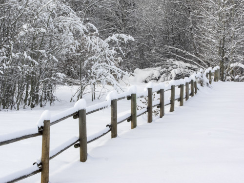 USA, Washington State. Snow covered fence Poster Print by Terry Eggers - Item # VARPDDUS48TEG1219