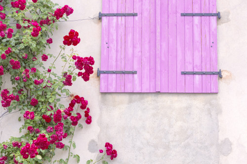 France, Provence. Colorful house facade.  Poster Print by Jaynes Gallery - Item # VARPDDEU09BJY0031