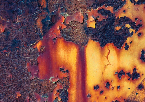 Details of rust and paint on metal Poster Print by Zandria Muench Beraldo (24 x 18) # AB01ZMU0020