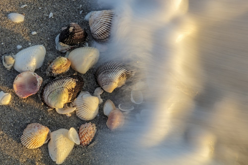 Surf on seashells on Sanibel Island in Florida, USA Poster Print by Chuck Haney - Item # VARPDDUS10CHA0122